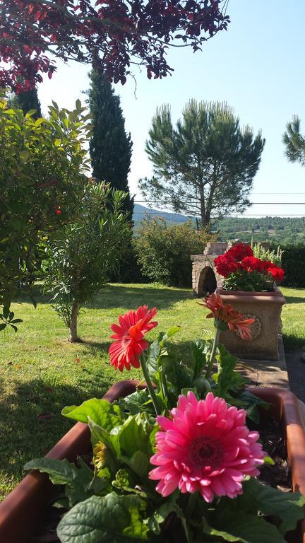 Agriturismo Il Catrino Ponteginori المظهر الخارجي الصورة