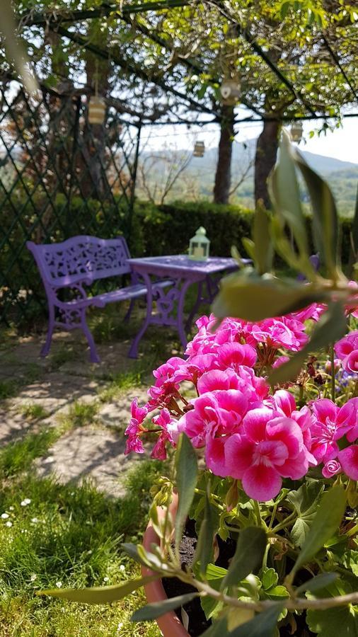 Agriturismo Il Catrino Ponteginori المظهر الخارجي الصورة
